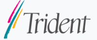 Trident Microsystems, Inc Manufacturer