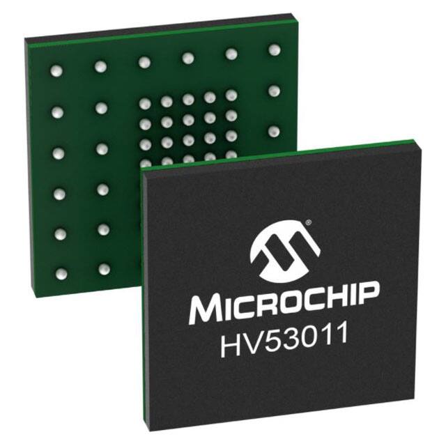 HV53011T-E/KVX